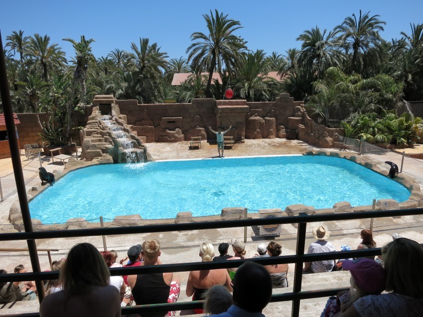Riosafari-2