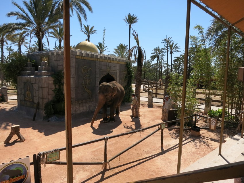 Riosafari-6